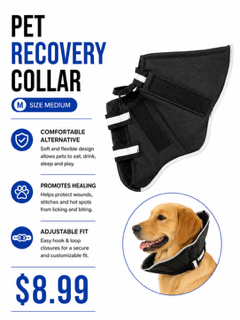 Pet Recovery Collar